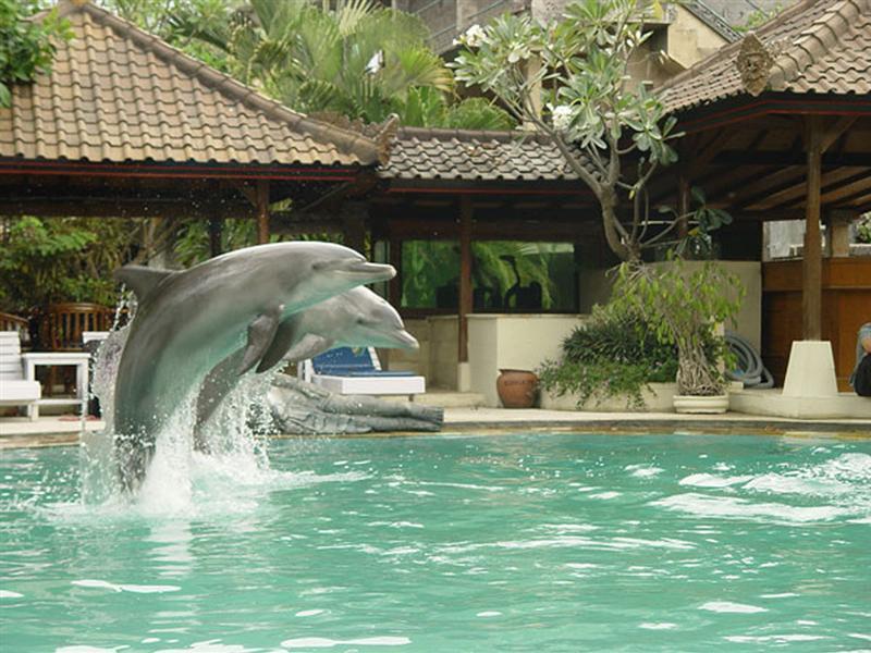 Oyo 2334 Melka Excelsior Hotel Singaraja Zewnętrze zdjęcie