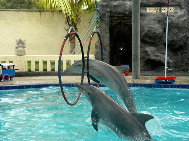 Oyo 2334 Melka Excelsior Hotel Singaraja Zewnętrze zdjęcie